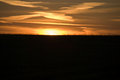 Sunset on the field 2