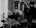 The Singer Set Up