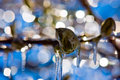 Winter Sleep