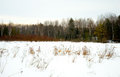 Winter Scene