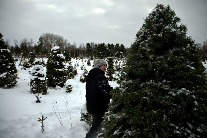 Until We Found The Perfect Tree