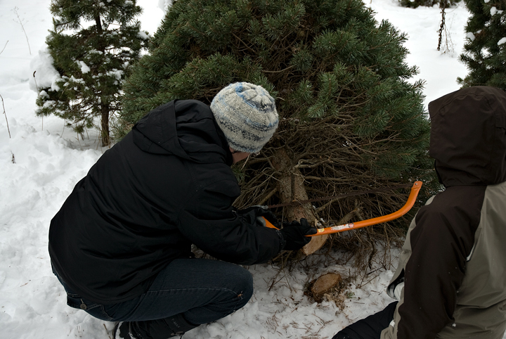 A Little Pruning