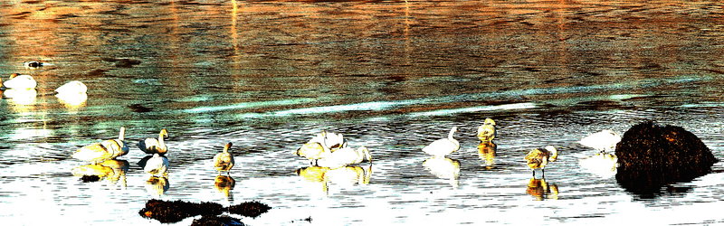 P1291006 a.jpg