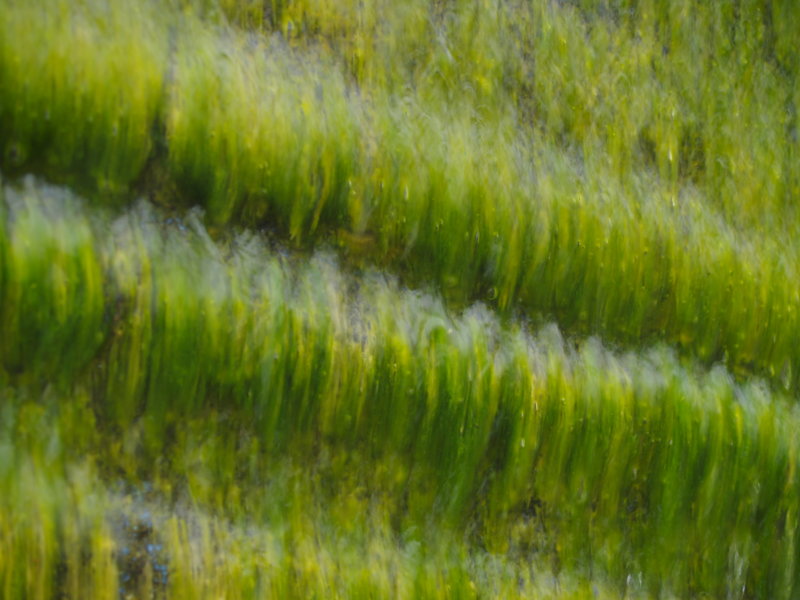 Wild running water.jpg