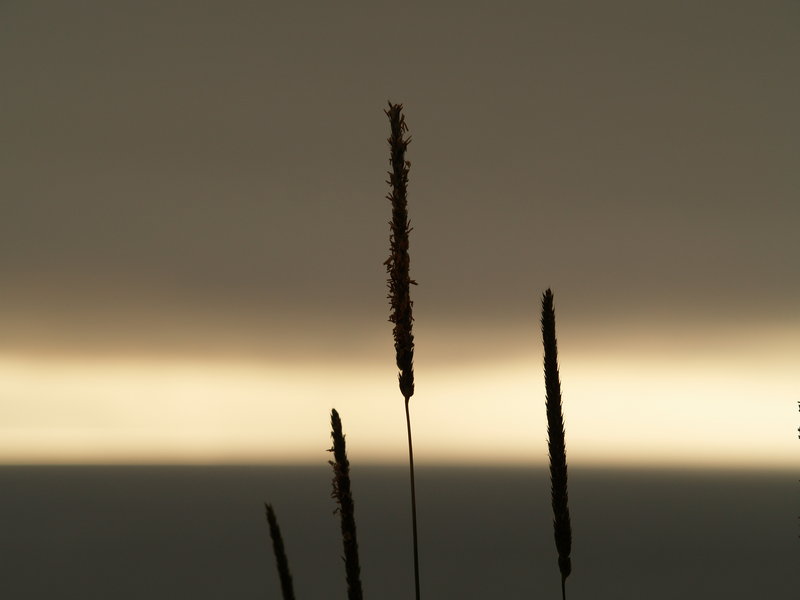 Hope and faith
