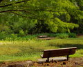 Bench