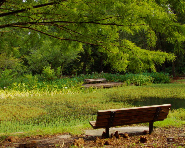 Bench
