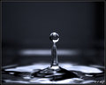 Liquid