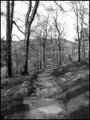 Path