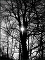 DSCF2448.JPG