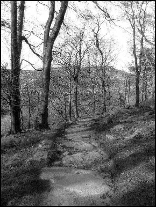 Path