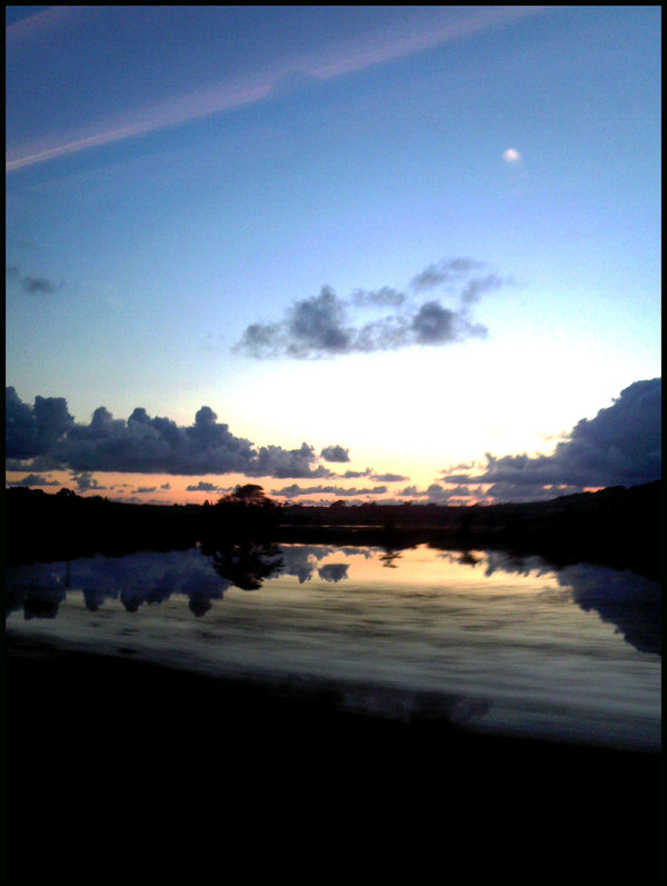 Reflections.jpg