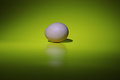 egg