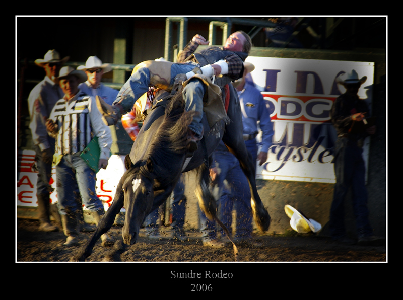 Rodeo