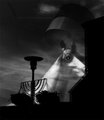 Ghost horse.