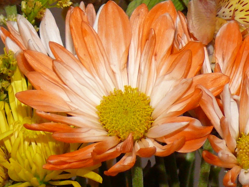 P1010359.JPG