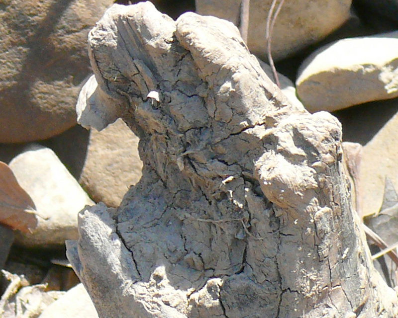 hand.jpg