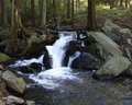 _MG_6275.JPG