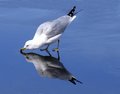_MG_7886a.jpg