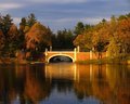 Bridge On Carasaljo