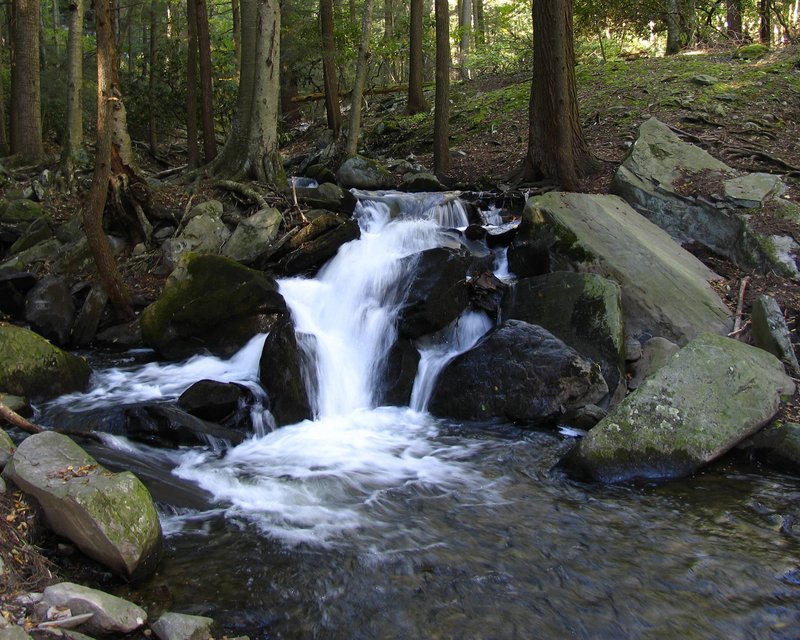 _MG_6275.JPG