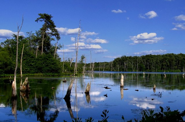 Reflection Cove