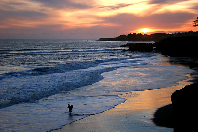 Maritza's-sunset.