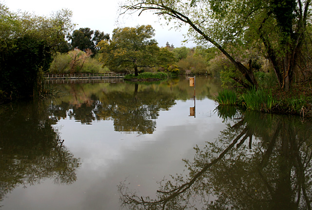 Lagoon landscape