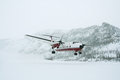 Buffalo Takeoff