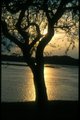 scan0373.jpg