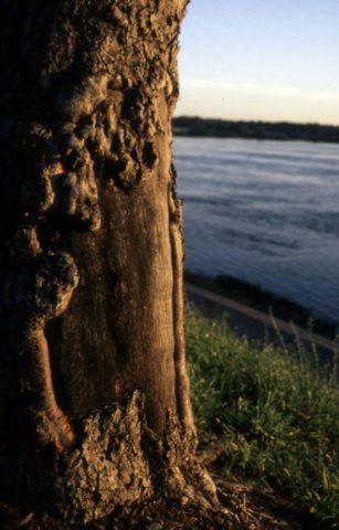 IMAGE012.jpg