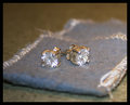 Macro