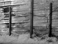 Sawdust