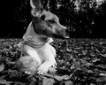 DSC00405.JPG