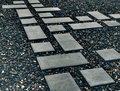 Pathway