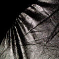 Day 22 - Reflector