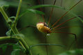 Droplet