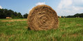 Hay Bale