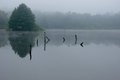 Fog Over Lake Alice