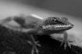 "Get my good side" II