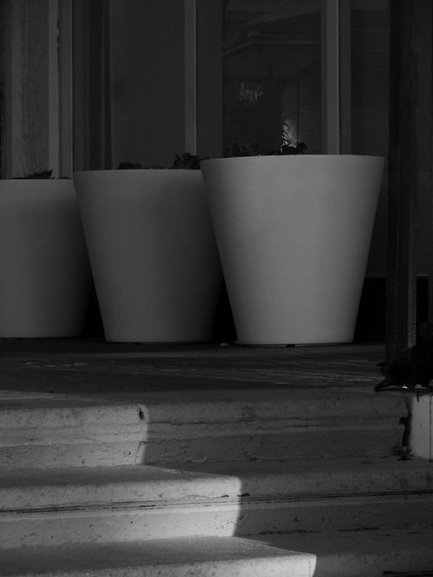 Light and Shadow