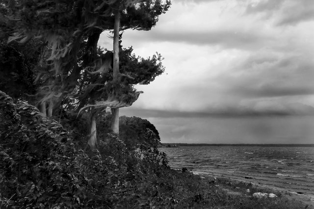 Storm at Palm Point