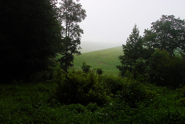 Misty Morning