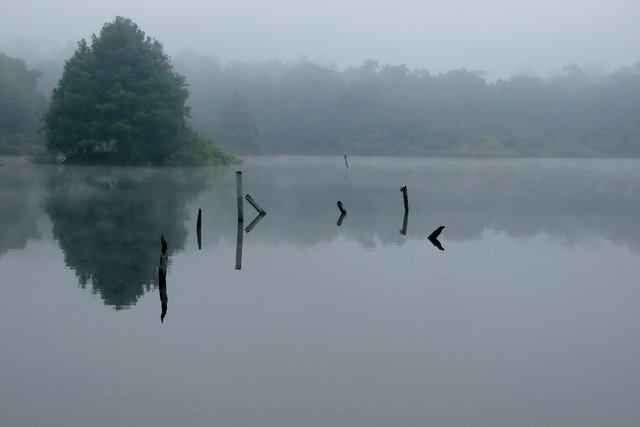 Fog Over Lake Alice
