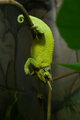 Just Hanging Out