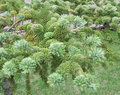 1 029 Oct2a.jpg