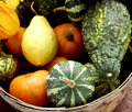 gourds.jpg