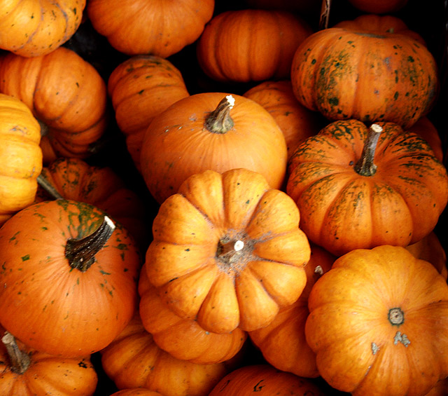 pumpkins.jpg
