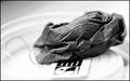 1 - Teabag