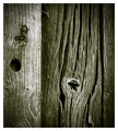 21 - Wood